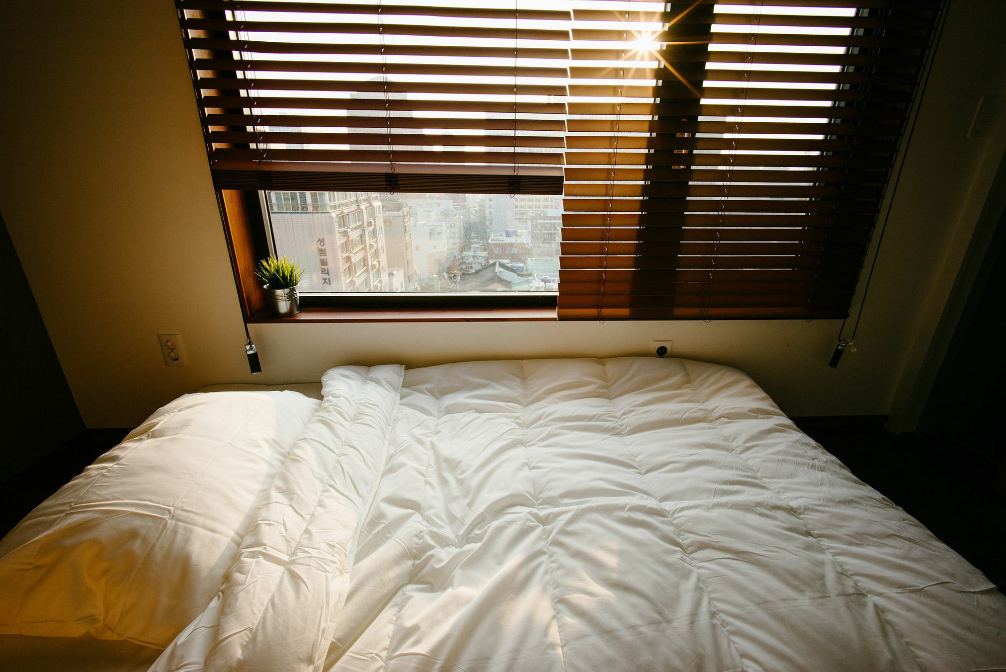Morning Dew Guesthouse بوسان المظهر الخارجي الصورة